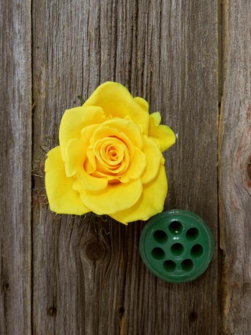 SONRISA  YELLOW ROSES